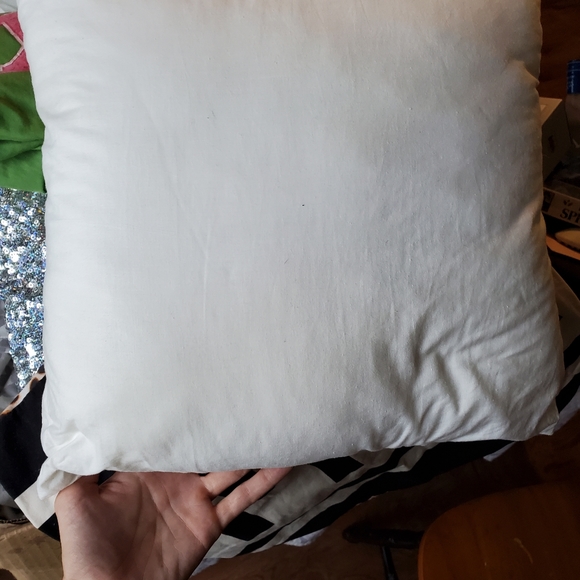 Green PINK pillow with PINK brand pillow - Picture 6 of 6